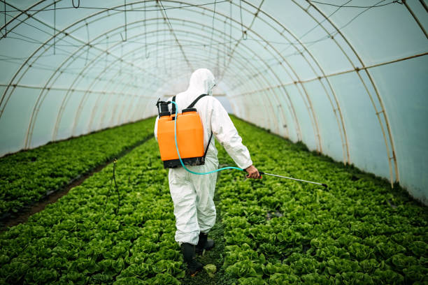 Best Affordable Pest Control Services  in Lakewood Park, FL